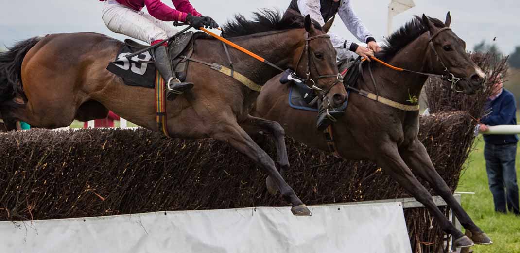 Haydock Park Pertemps Swinton Hurdle Day