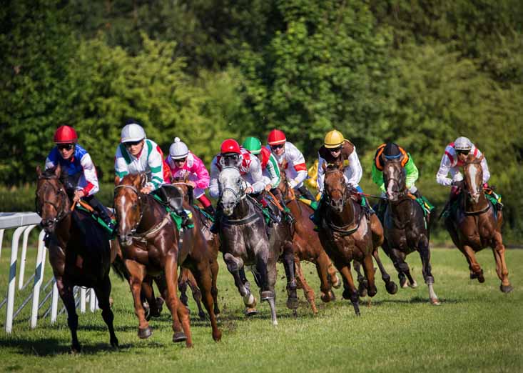 Newmarket Rowley Mile Summer Saturday 